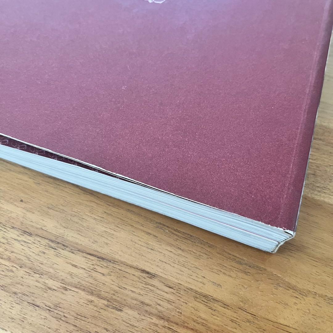 MYSORE STYLE　写真集　アシュタンガヨガ　AshtangaYoga