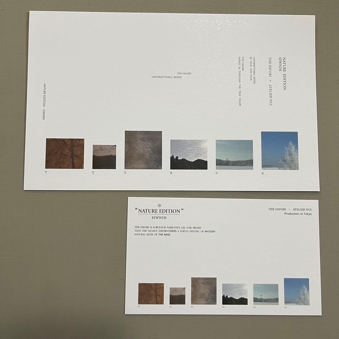 ◉最終値下げ　早い者勝ちThe favori ネイル