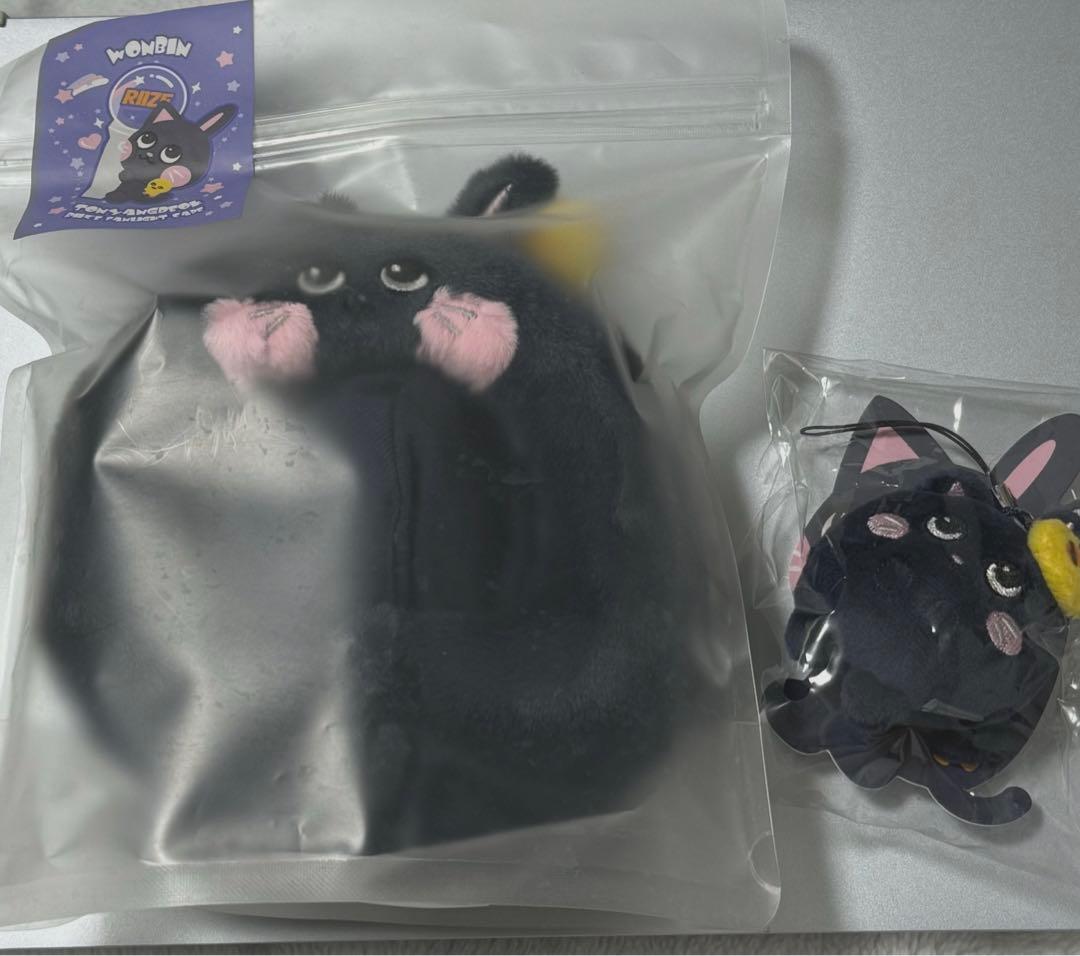 RIIZE ウォンビン ペンライトカバー ミニドールキーリング