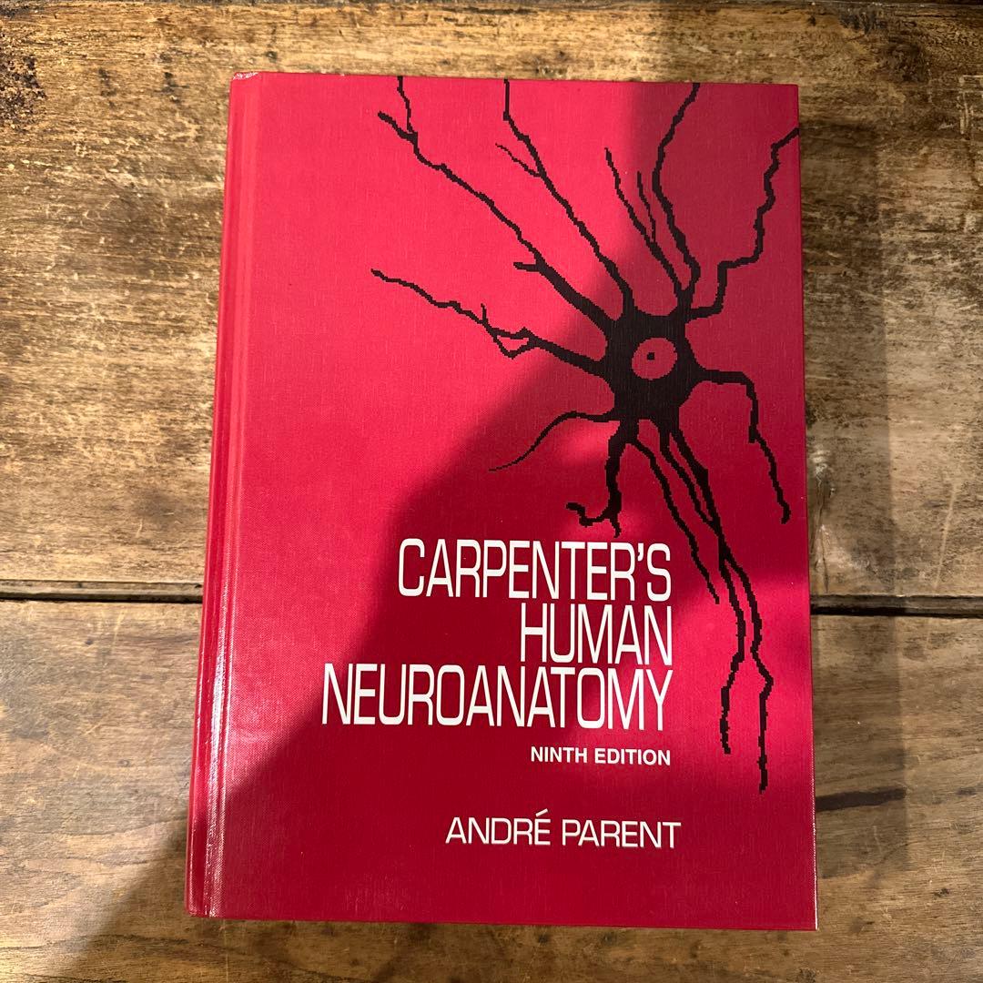 健康・医学 The Anatomy of the Nervous System