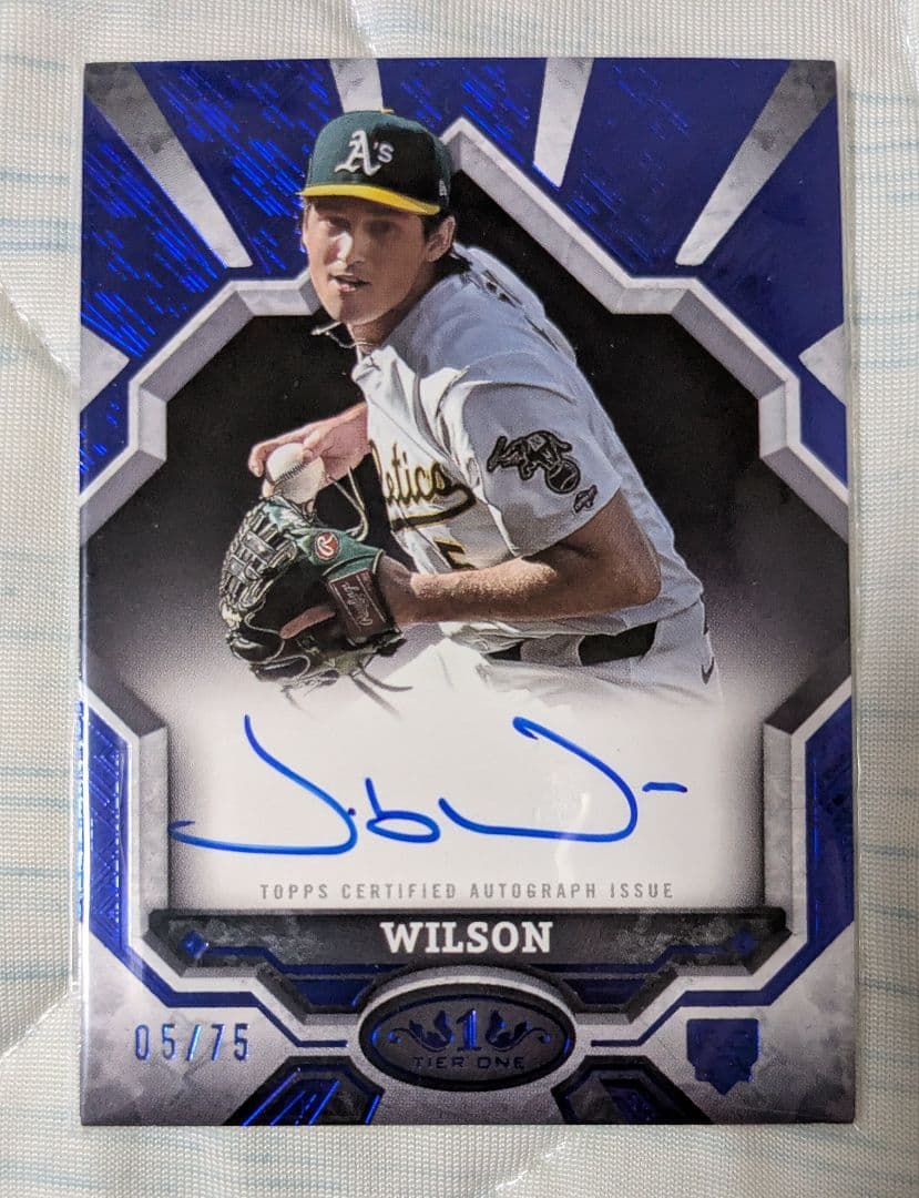 v*v様 JACOB WILSON AUTOGRAPH