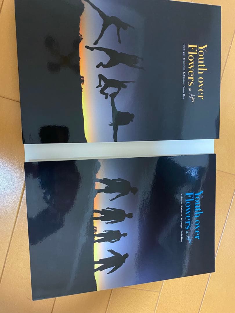 花より青春 アフリカ編　DVD