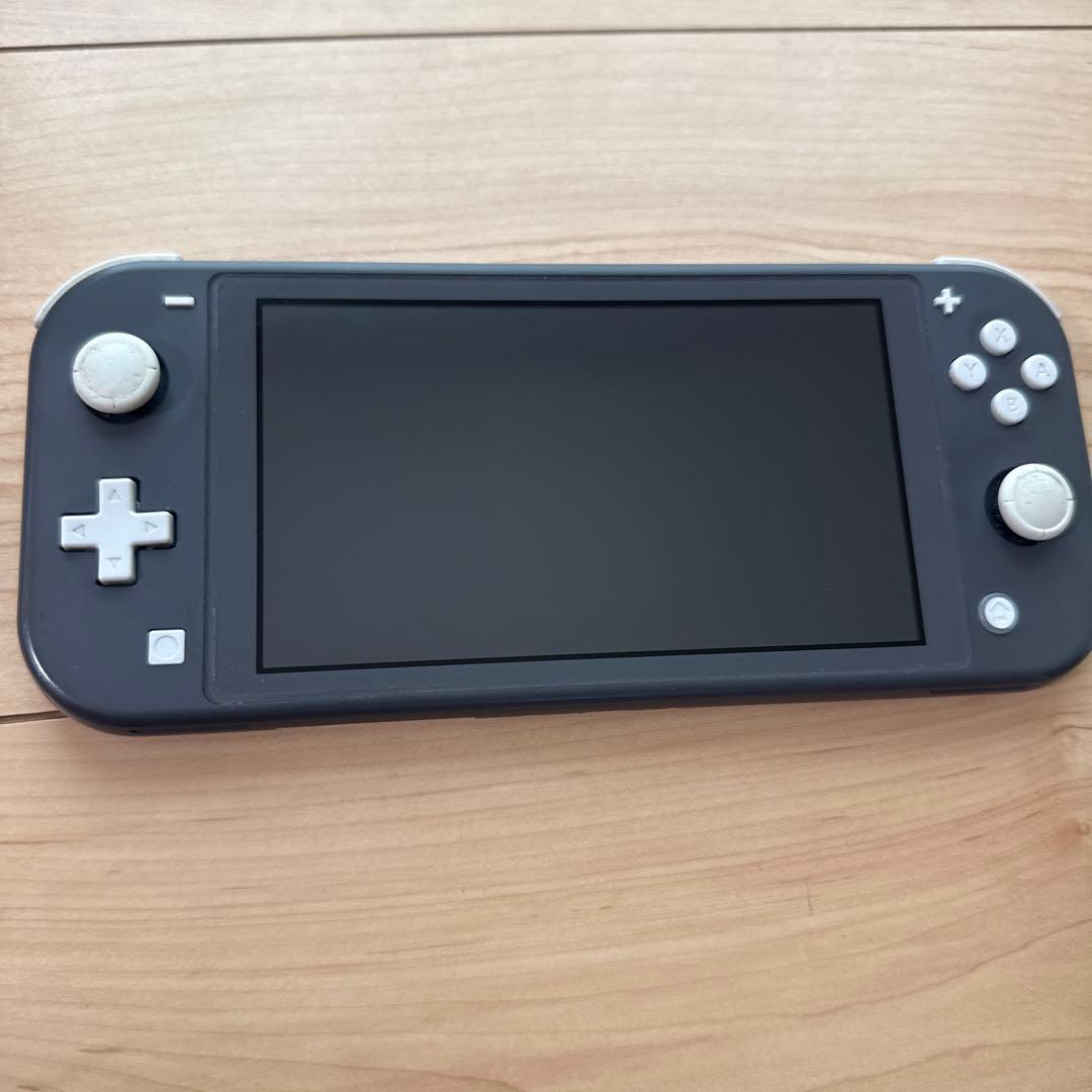 Nintendo Switch Lite ジャンク品 本体のみ