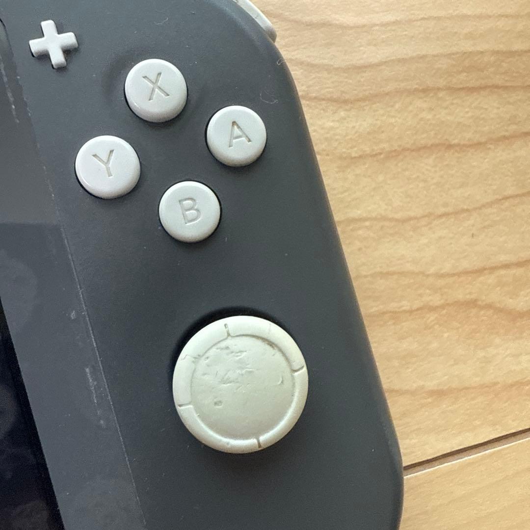 Nintendo Switch Lite ジャンク品 本体のみ