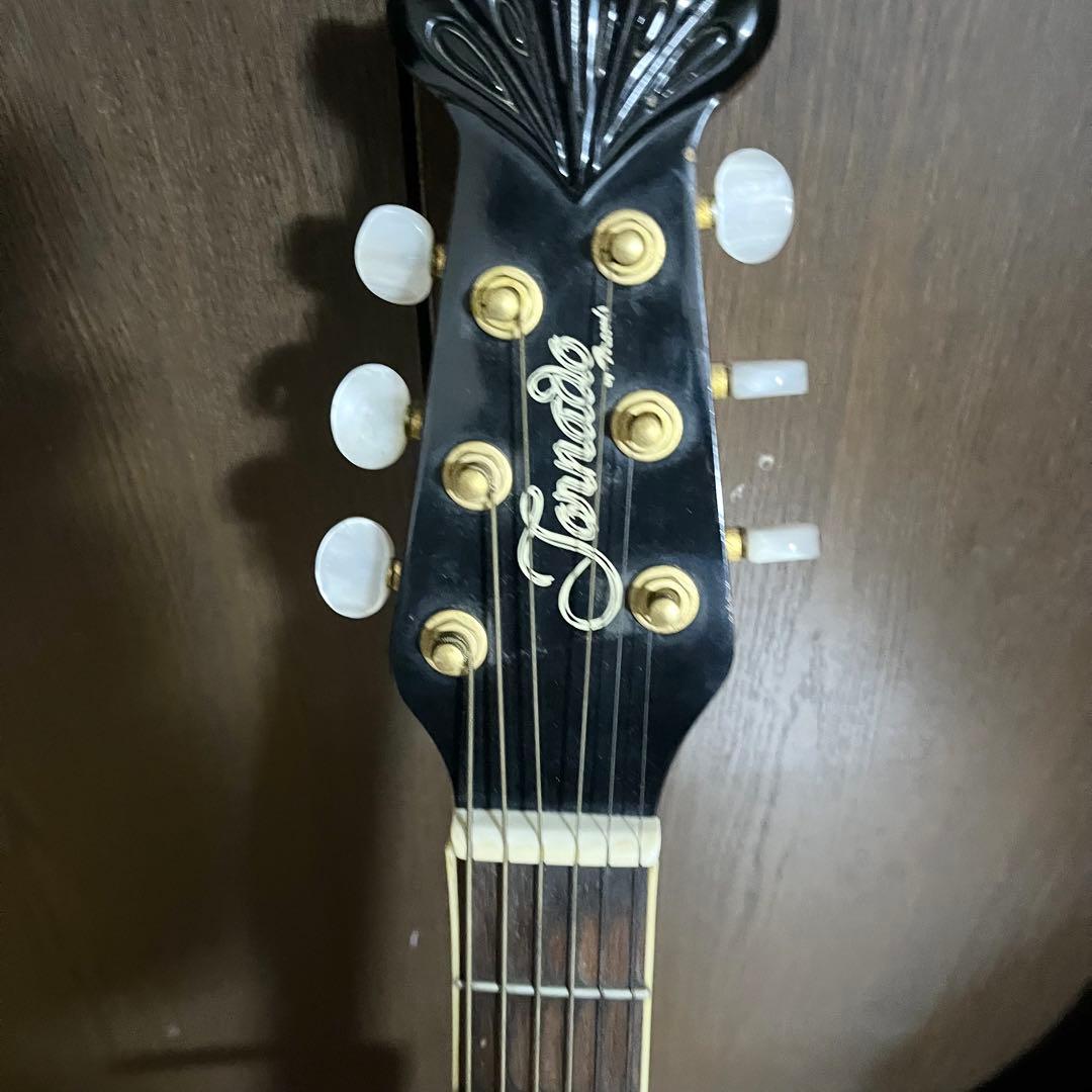 エレアコ Morris トルネード ZⅡ-EX ソフトケース付きギター モーリス