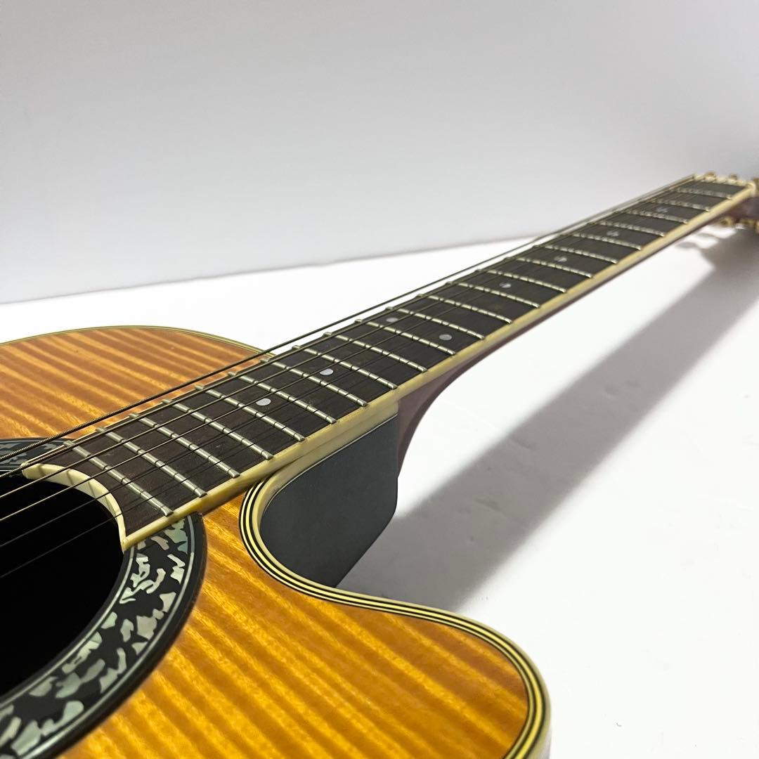 エレアコ Morris トルネード ZⅡ-EX ソフトケース付きギター モーリス