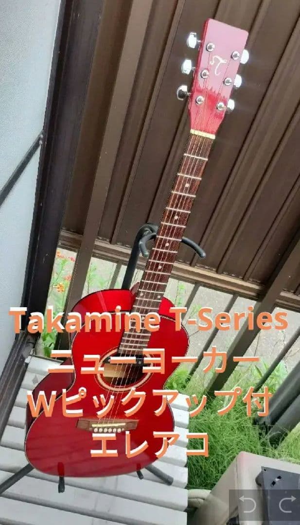 Takamine T-Series ニューヨーカー Wピックアップ付エレアコ