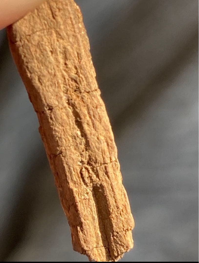 シャム　香木　お香　天然沈香