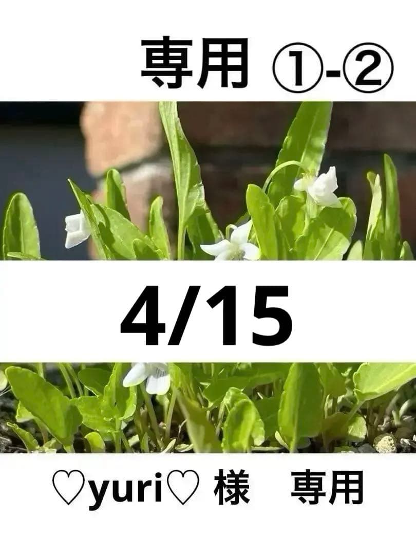 ①-② 専用です。