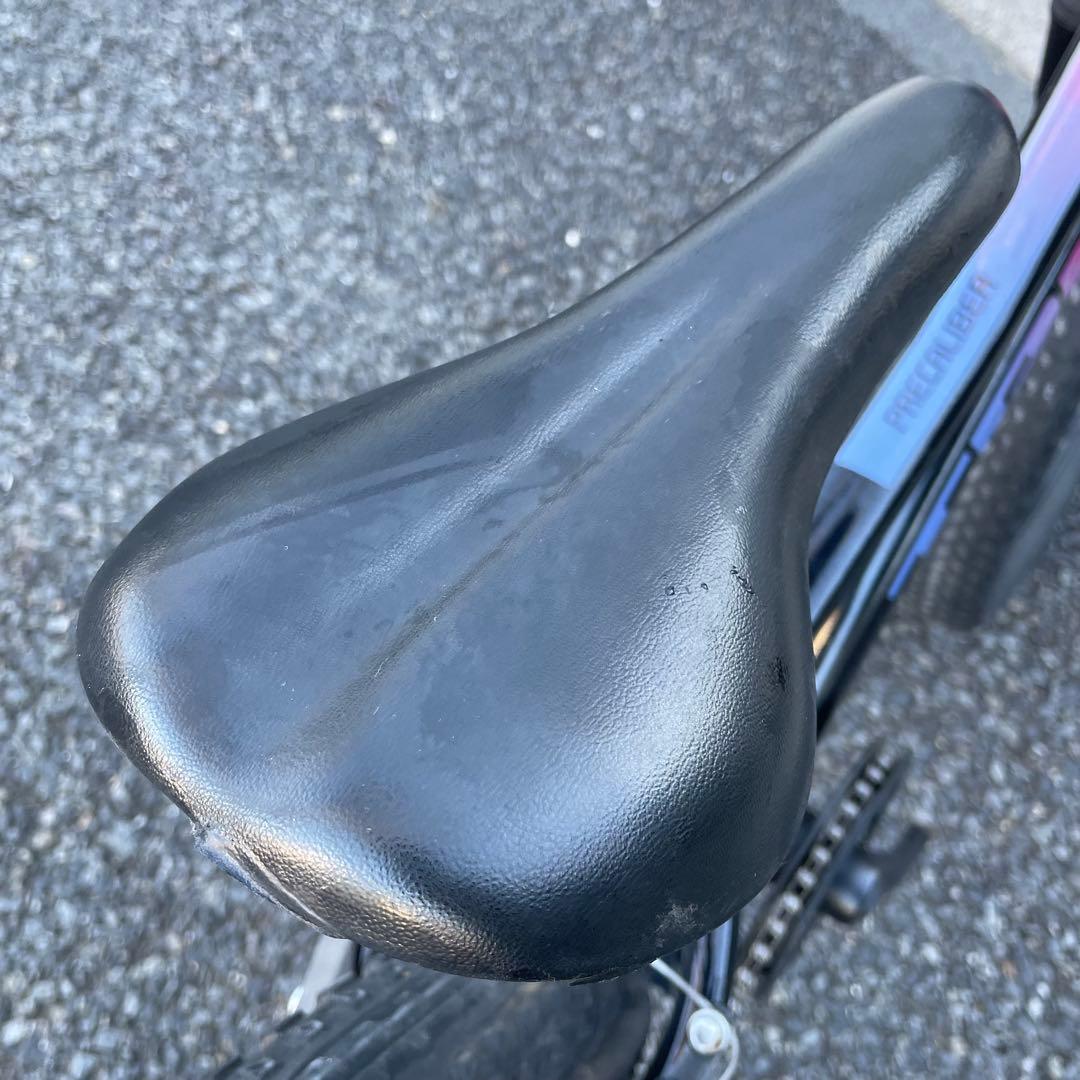 テサーヌ　20インチ Precaliber 身長114-132cmブラック