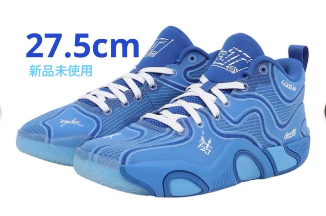 Nike Jordan Tatum 3 PF 27.5 テイタム3 新品未使用