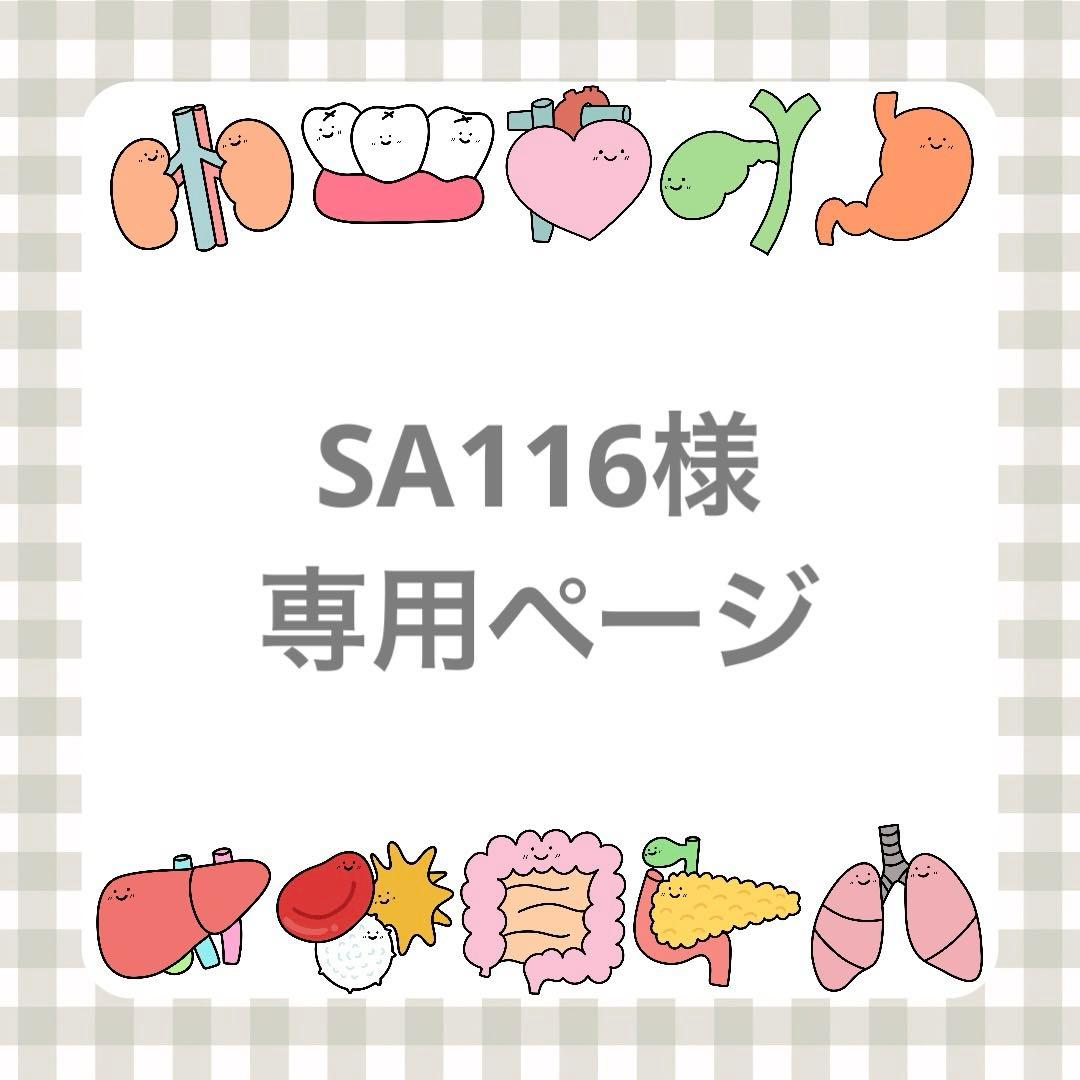 SA116ページ