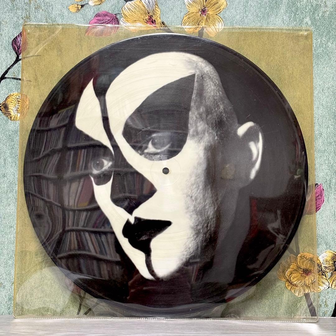 コンラッド・シュニッツラー 『ZUG』 12inch LP ピクチャーディスク