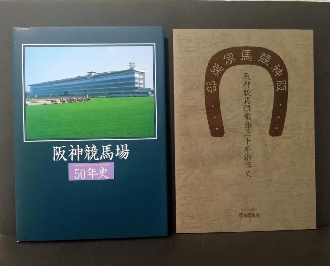 阪神競馬場 50年史