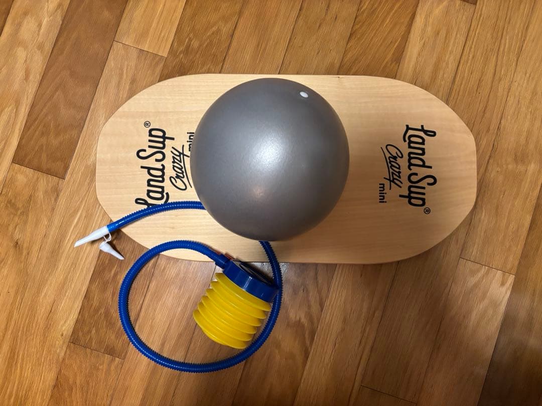 Land Sup Crazy mini バランスボード