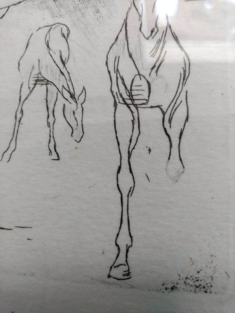 加藤助八。馬のエッチング　作品 　37/50