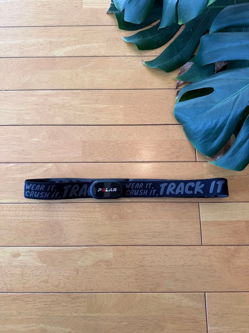 POLAR (ポラール) H10 N（ Polar H10 N） 心電式 胸