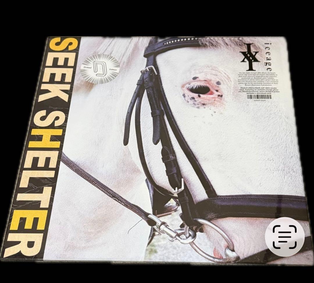 Iceage – Seek Shelter Dinked Edition LP