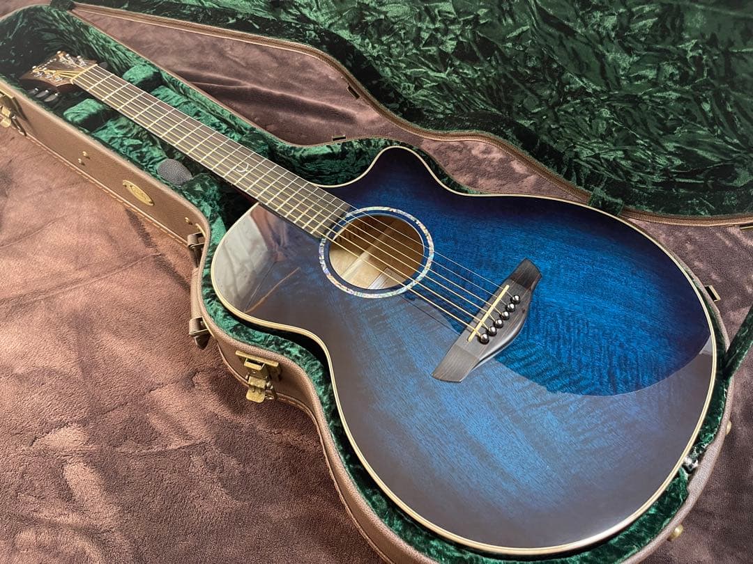 【美品】オール単板 Faith Blue Moon Venusエレアコ