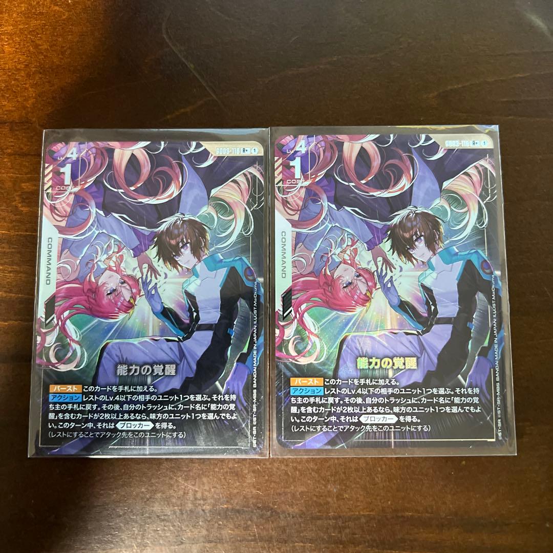 能力の覚醒 R+ パラレル