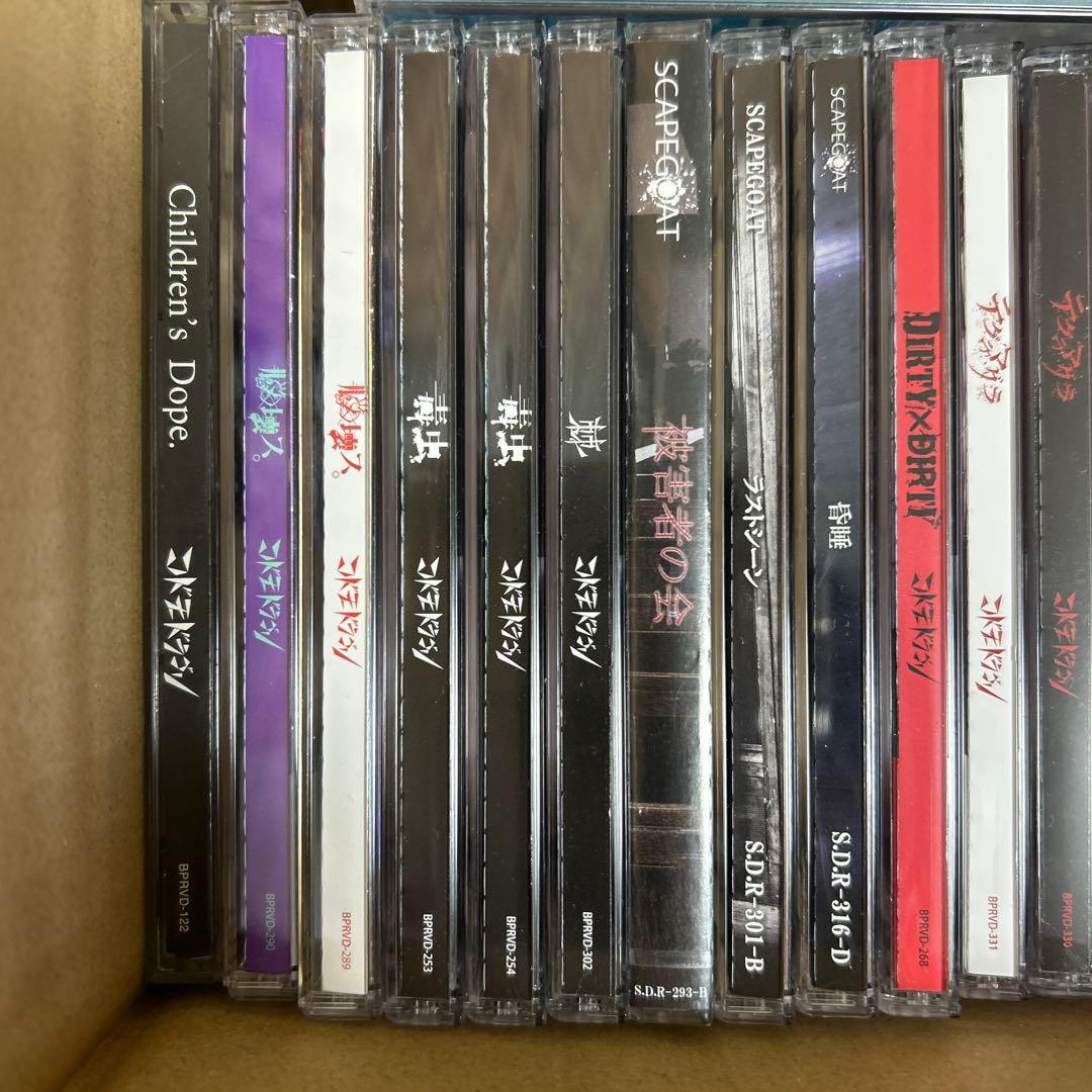 BabyKingdom コドモドラゴン　CD