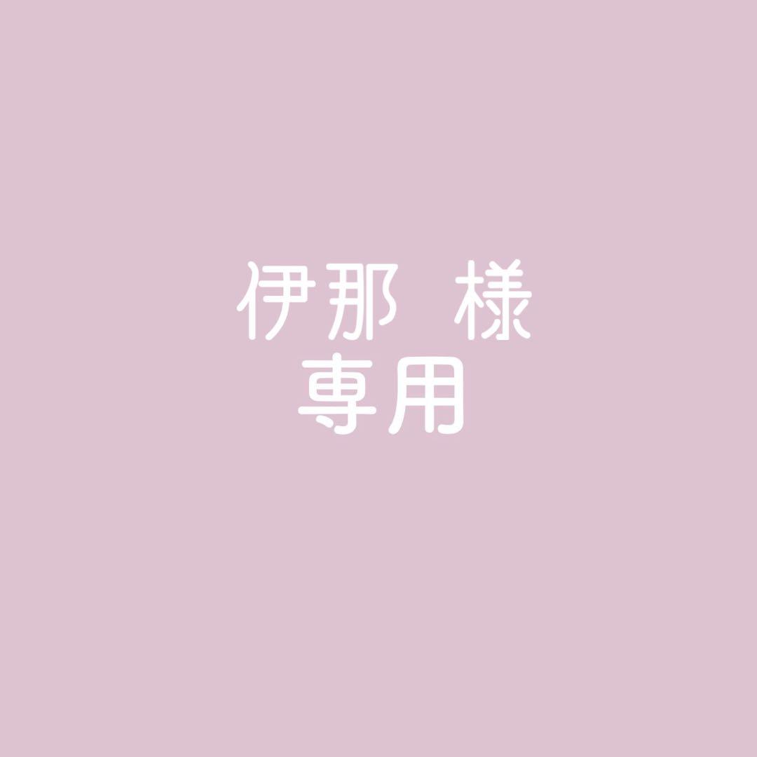 専用ページ　【伊那様】