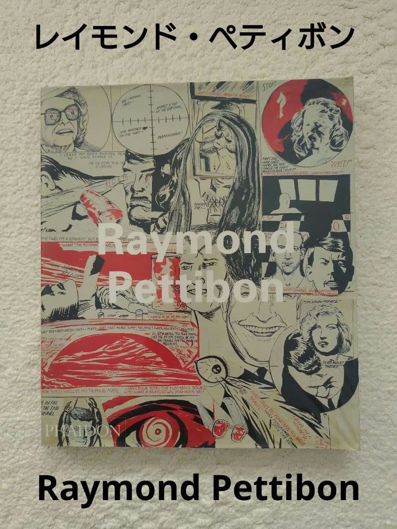 レイモンド・ペティボン Raymond Pettibon 英語版 ソフトカバー
