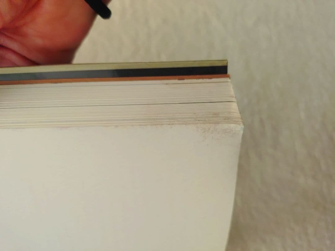 レイモンド・ペティボン Raymond Pettibon 英語版 ソフトカバー