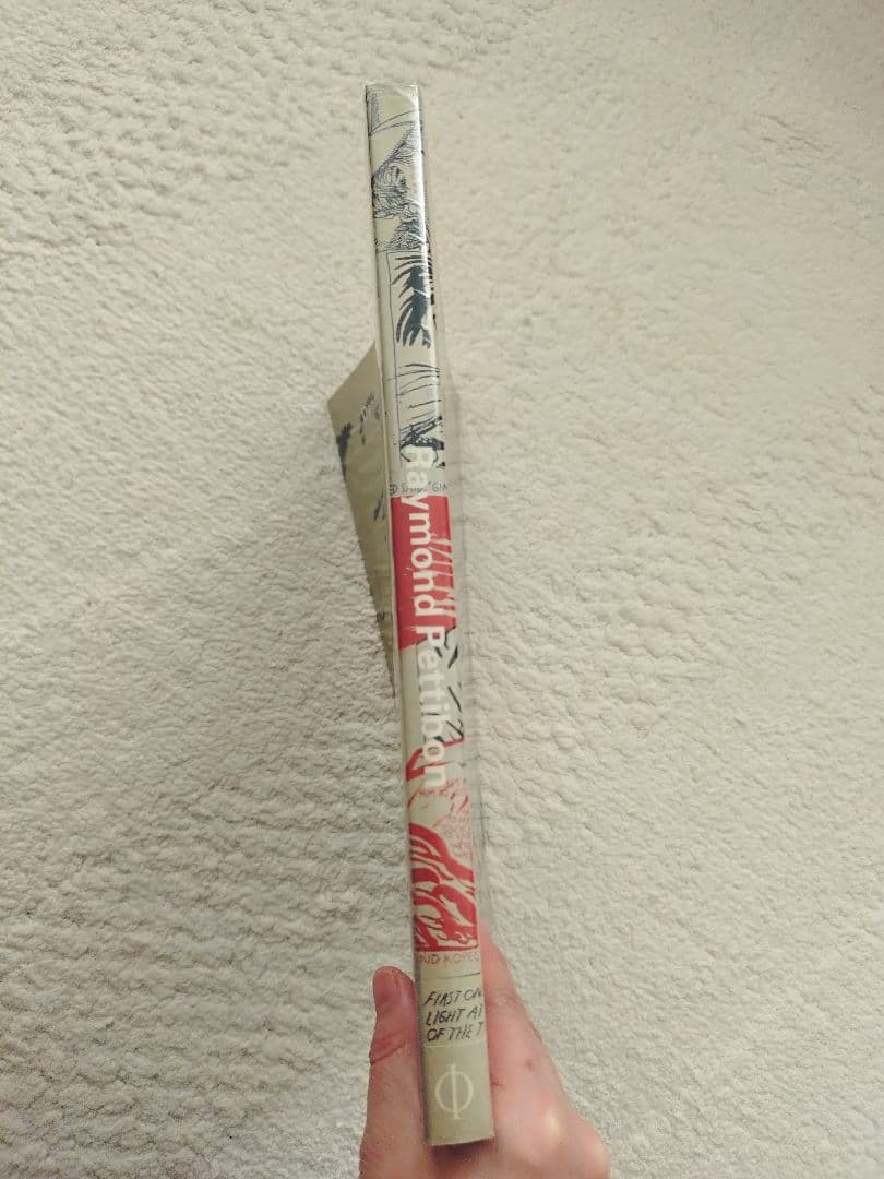 レイモンド・ペティボン Raymond Pettibon 英語版 ソフトカバー