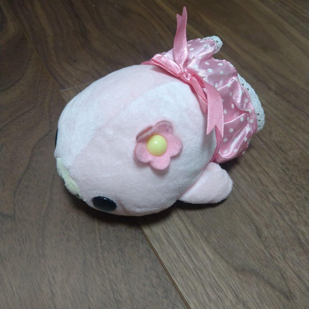 激レア　希少　まめゴマ　さくらゴマ　ドレス