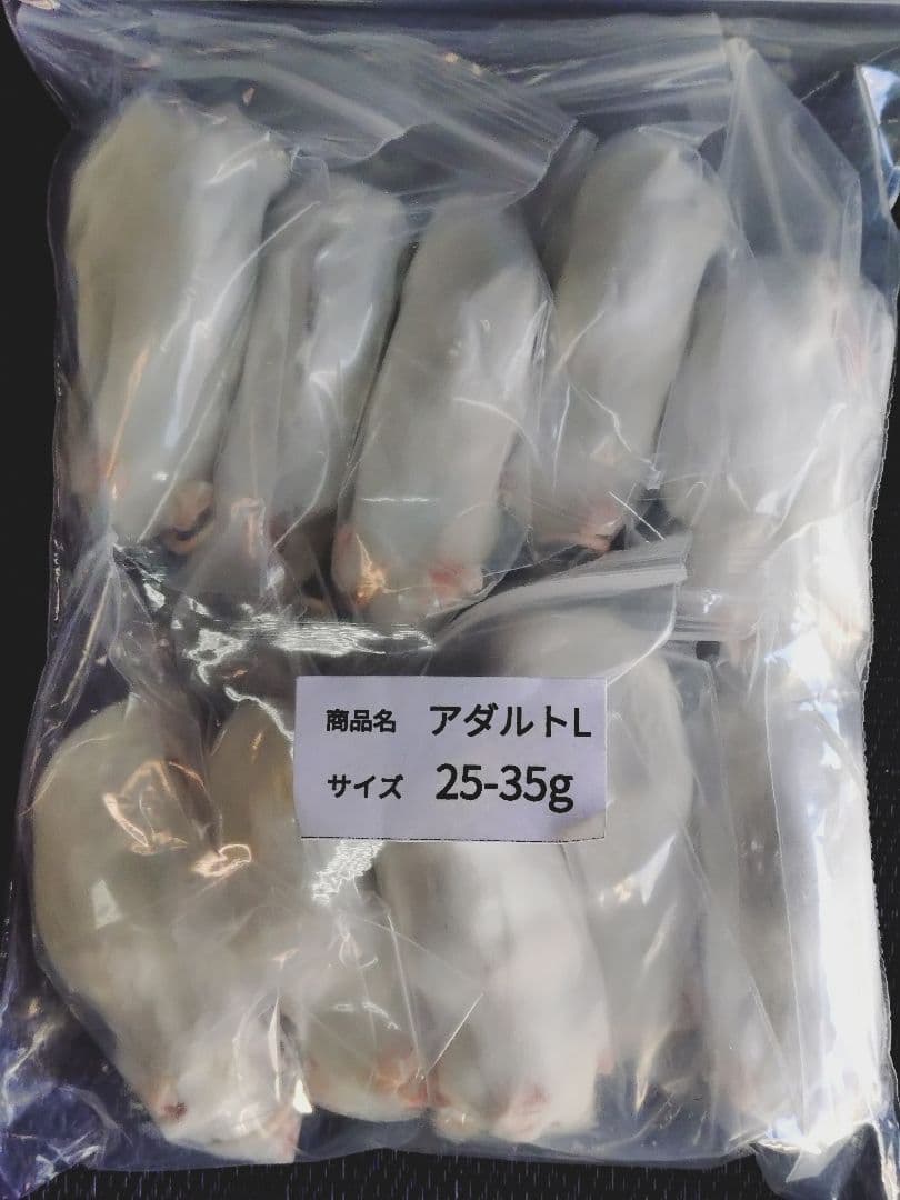 送料無料 冷凍マウスアダルトＬ50匹　リタイア30匹