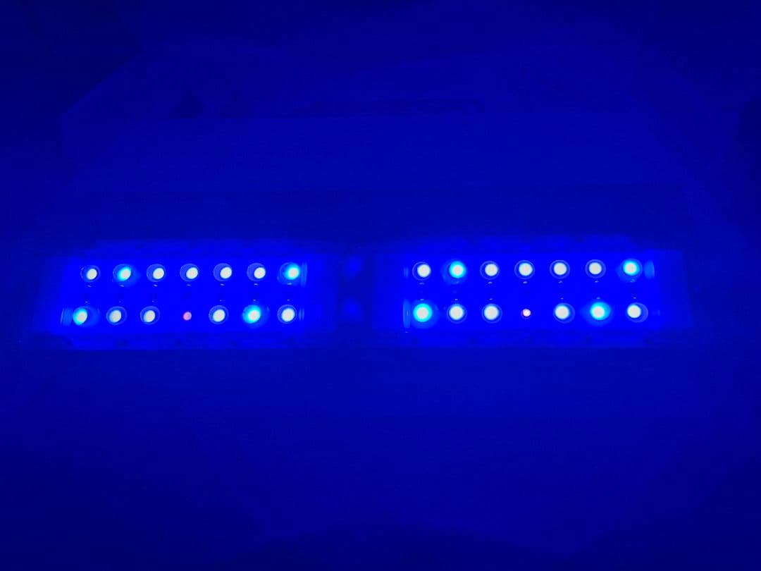 NEMO LIGHT Ⅱ 48W 海水魚