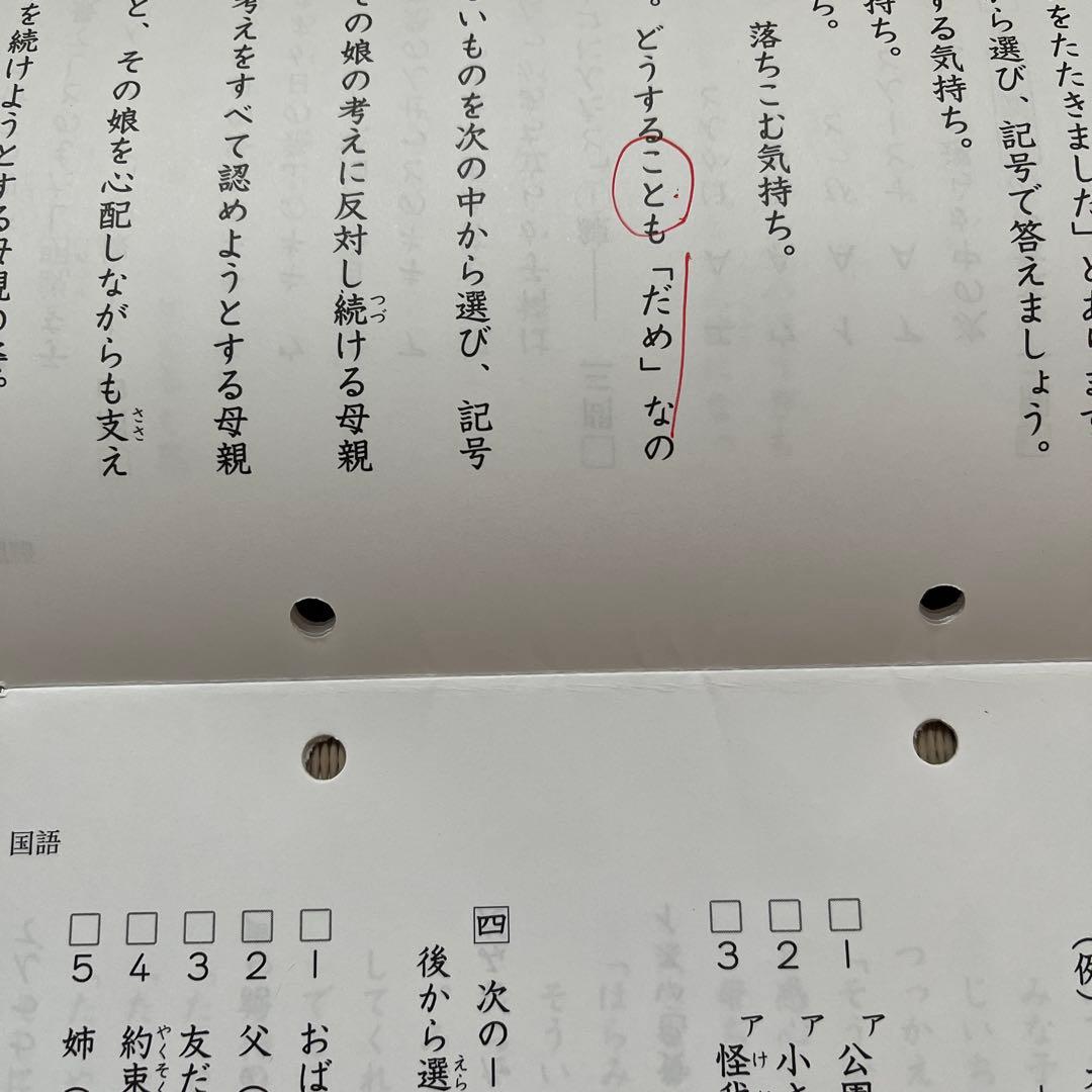 2025年 日能研 4年 ステージⅡ 育成テスト【前期】4科目