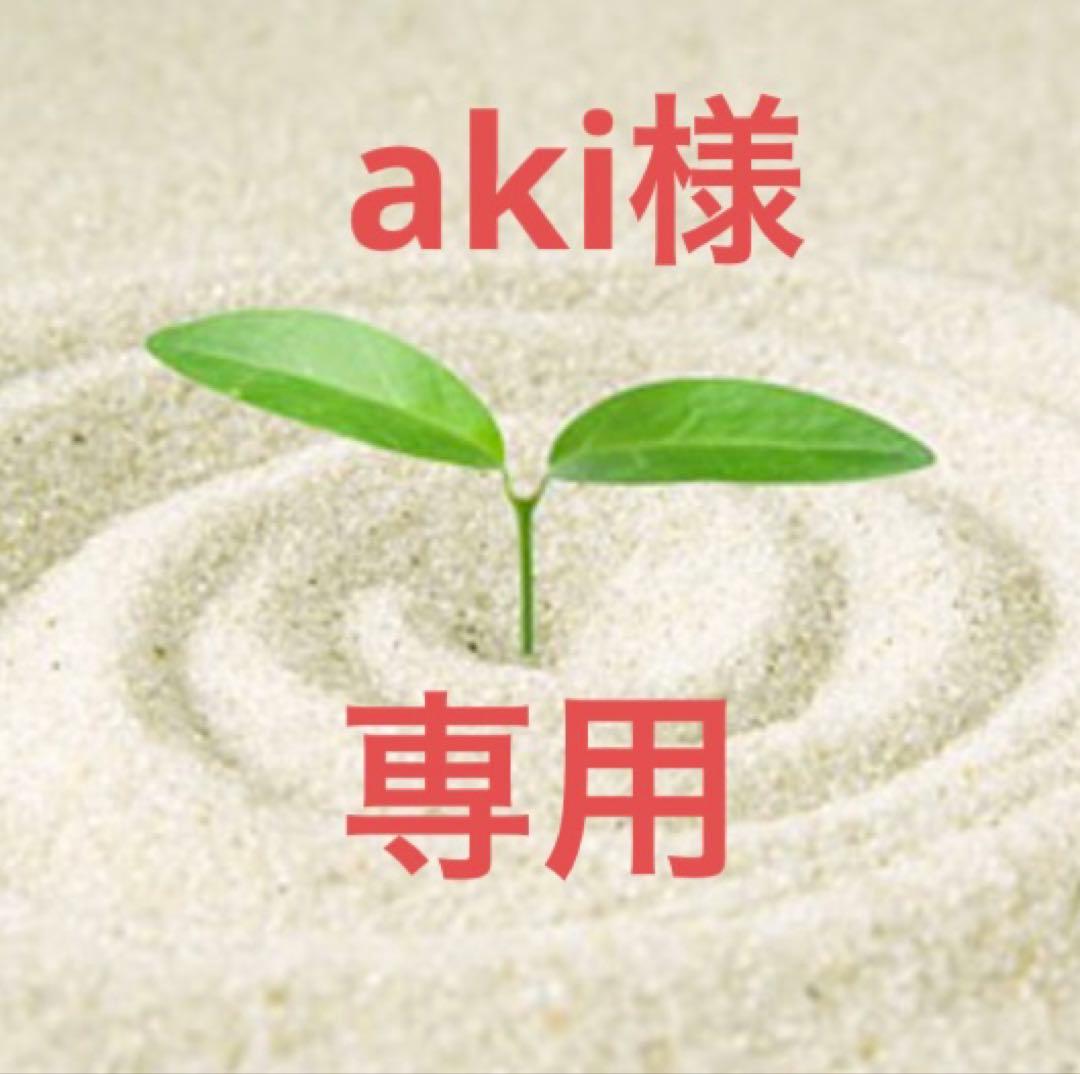 【数量限定】aki