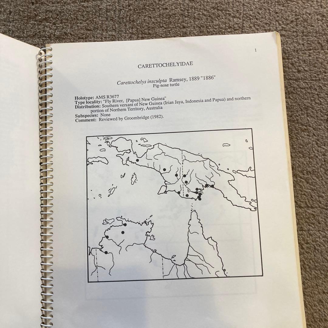 1986年 世界のカメのチェックリストと分布図 ジョン・B・アイバーソン 研究書