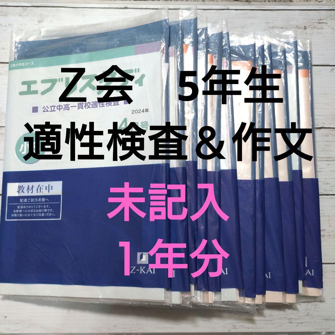 【期間限定セール】Z会5年生 公立中高一貫校適性検査&作文 1年間　92400円