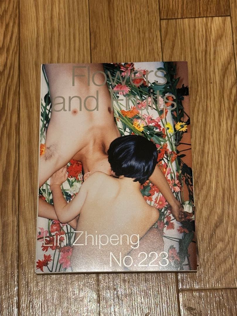 アート・デザイン・音楽 Lin zhipeng Flower and Fruits