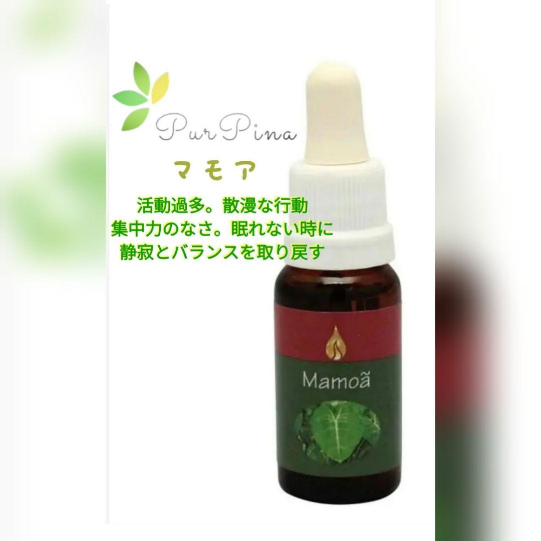 【予約品】マモア『寄り添う』アラレタマレインフォレスト　フラワーエッセンス
