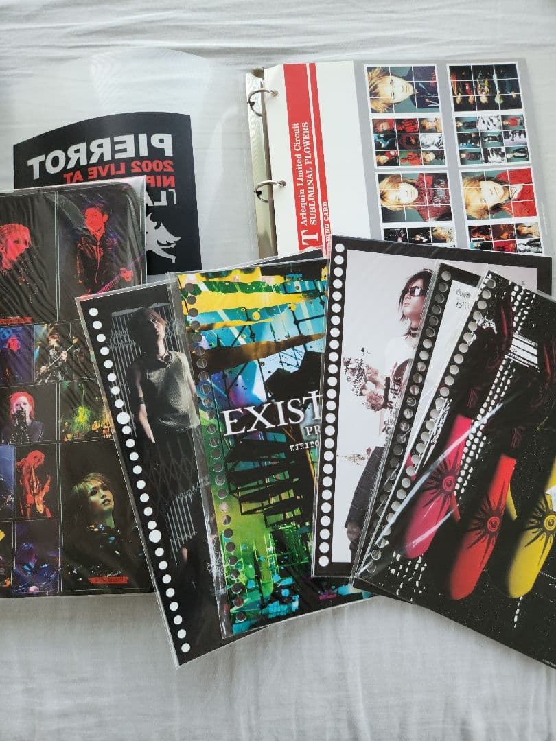 PIERROT 2002年　武道館トレカコンプ　ルーズリーフ　シール