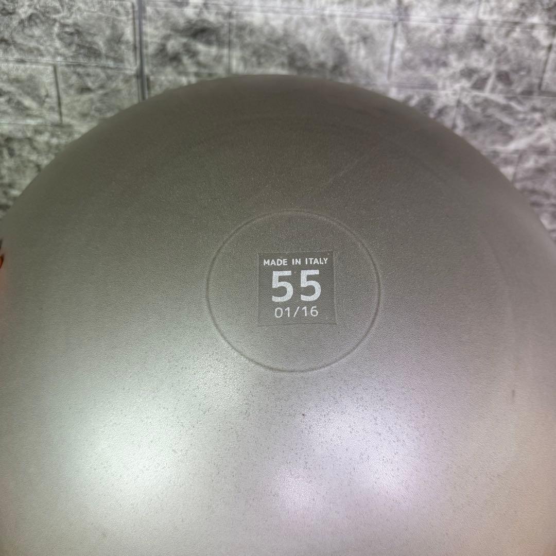 【美品】TECHNOGYM バランスボール　55cm