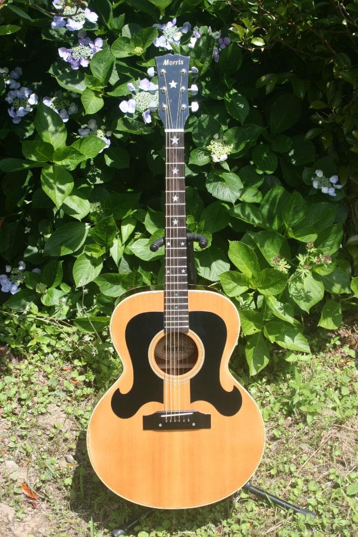 Morris WJ-30 Everly Brothers モデル 日本製