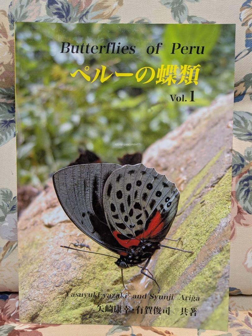 Butterflies of Peru ペルーの蝶類 Vol. 1