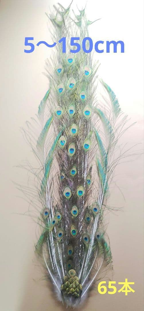 TTGさまリクエスト商品　【孔雀の羽根　ピーコックアイ、ソード&フォーク65本】