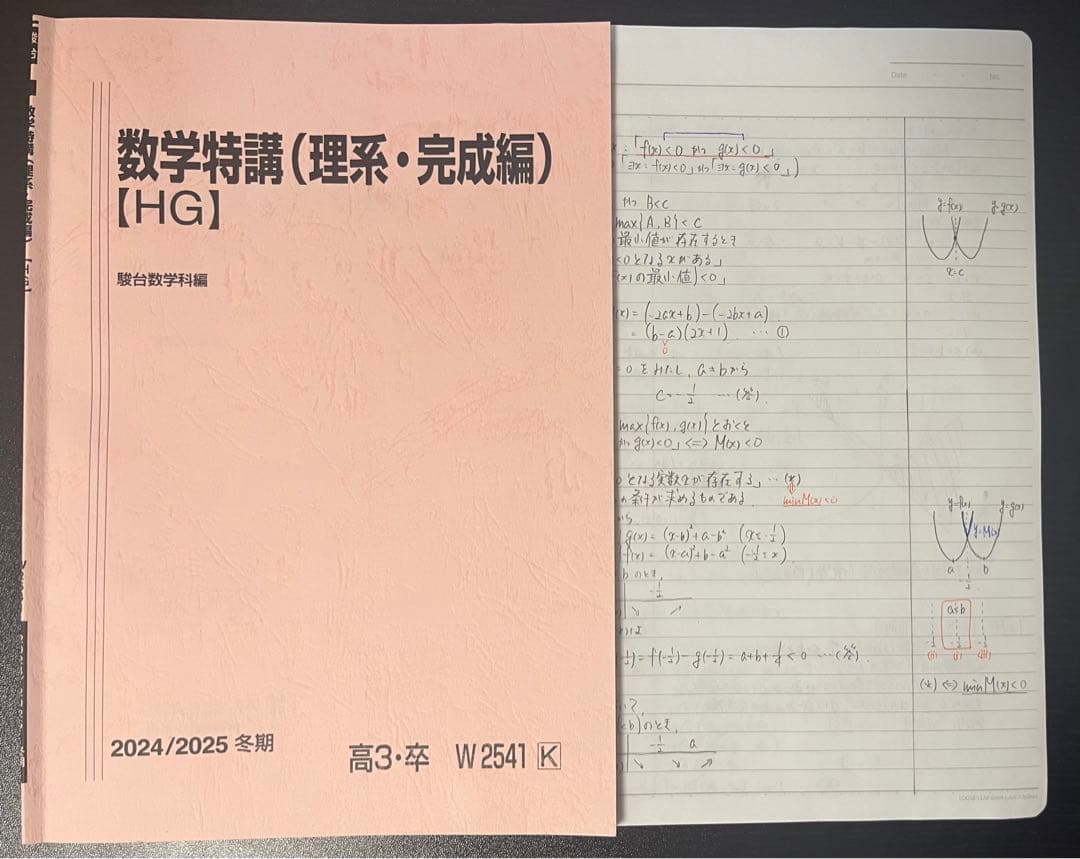 駿台 数学特講（理系・完成編） 2024/2025 米村明芳