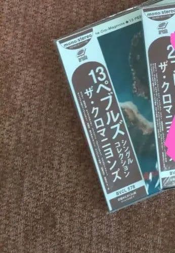 ザ・クロマニヨンズ CD DVD ザ・ハイロウズ CD まとめ売り