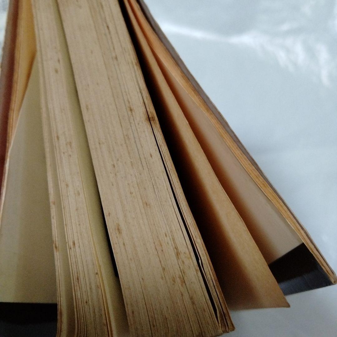 はだしのゲンの 中沢啓治 メルクマール 黒い雨にうたれて ヒバクシャ 広島