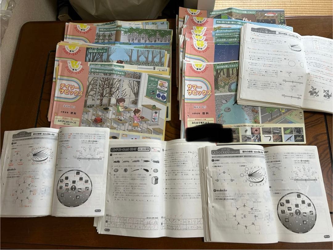 SAPIX 4年 理科 一年分 フルセット2015年 デイリースプリングサマー