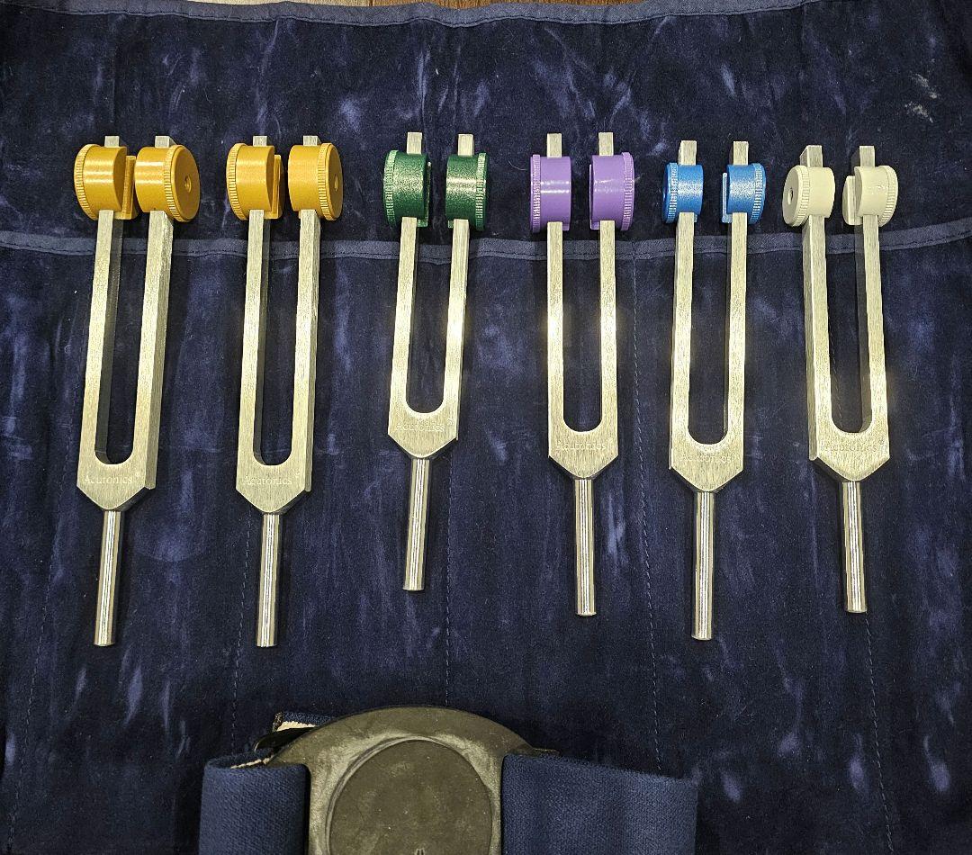 音叉 ヒーリング アキュトニクス アースムーンプロセット