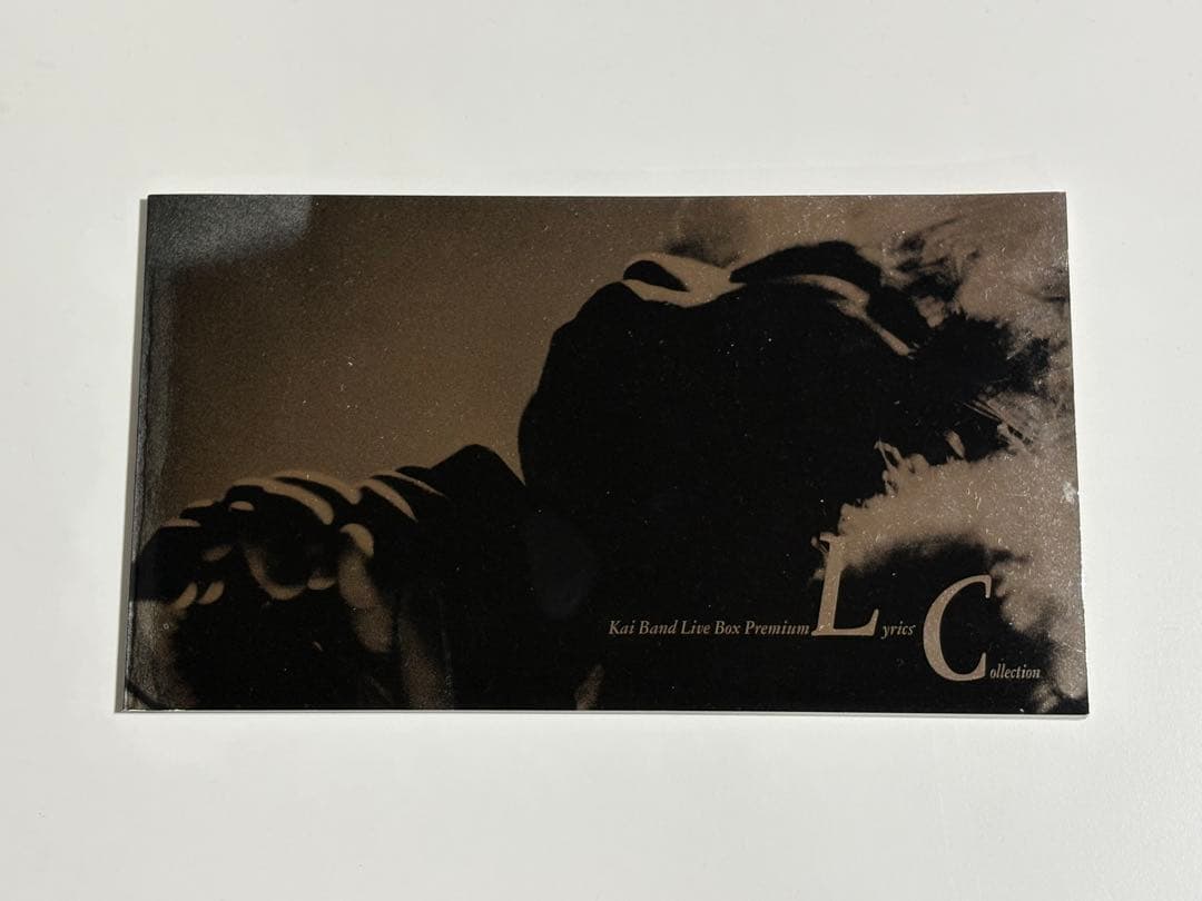 【廃盤レア】甲斐バンドライヴBOX「熱狂／ステージ」 CD10枚セット