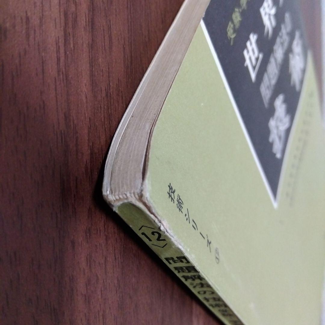 【プレミア本】世界史 問題解法の技術 武井正教　※説明文必読